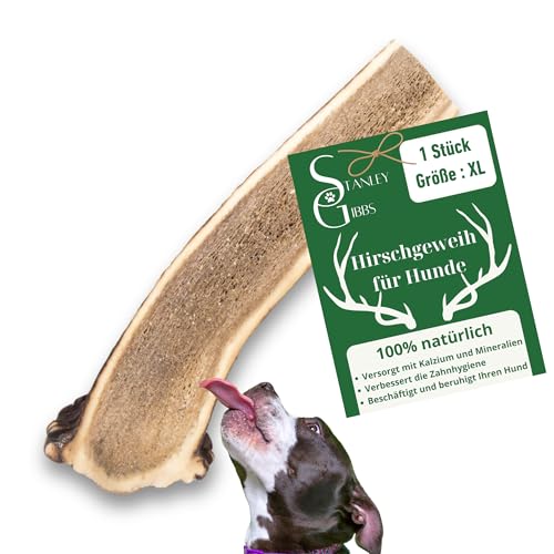 Natürlicher Kausnack für Hunde aus 100% Hirschgeweih Mit Mineralstoffen, Kauspielzeug, Zahnpflege, Kaustange, Geweih, Knochen, Hirsch, Kauartikel - Größe XL halbiert. Für Welpen und Hunde jeden Alters Natürlicher Kausnack für Hunde aus 100% Hirschgeweih Mit Mineralstoffen, Kauspielzeug, Zahnpflege, Kaustange, Geweih, Knochen, Hirsch, Kauartikel - Größe XL halbiert. Für Welpen und Hunde jeden Alters von Stanley Gibbs