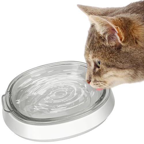 Futternapf für Hunde und Katzen, aus Glas, Wassernapf für Katzen und kleine Hunde, transparenter Glasnapf, fördert die Hydratation, schützt die Wirbelsäule des Haustiers, spülmaschinenfest von Star