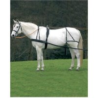 STAR Einspänner-Geschirr Economic VB/ COB (Vollblut) von Star