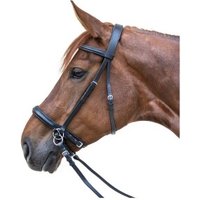 STAR Trensenzaum Gebisslos VB/ COB (Vollblut) von Star