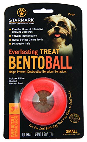 STARMARK Everlasting Treat Bento-Ball, robust, klein von StarMark