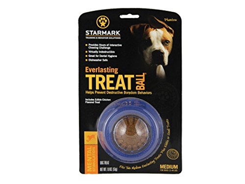 StarMark Everlasting Treat Ball Medium w/ USA Treat for Dogs von StarMark
