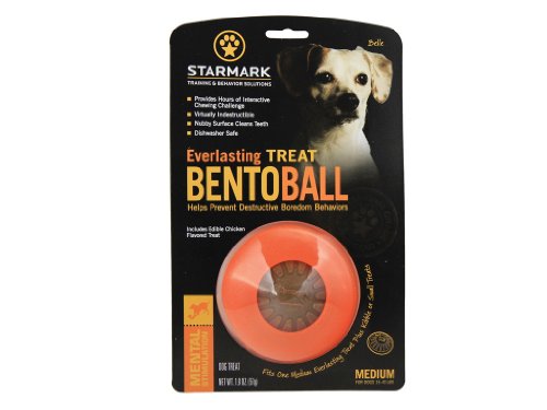 StarMark Everlasting Treat Bento Ball Tough Dog Chew Toy Medium von StarMark