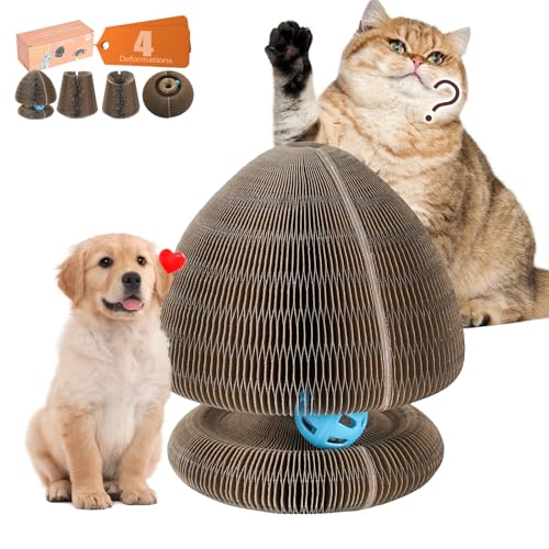 Starfish UN Vielseitiger transformierbarer Spaß-Ball – Spielzeit für Katzen, Hunde, Waschbären und mehr – interaktives umweltfreundliches Haustierspielzeug mit mehreren Konfigurationen (P001C) von Starfish UN