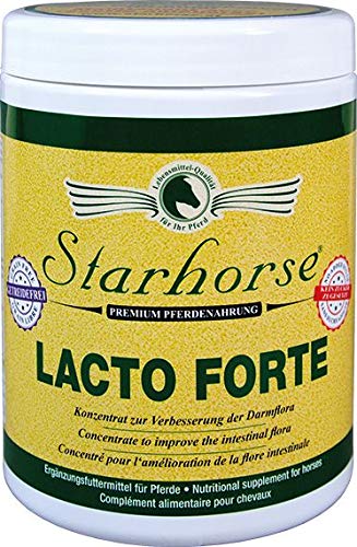Starhorse Lacto Forte 400g Dose für Pferde Probiotika von Starhorse
