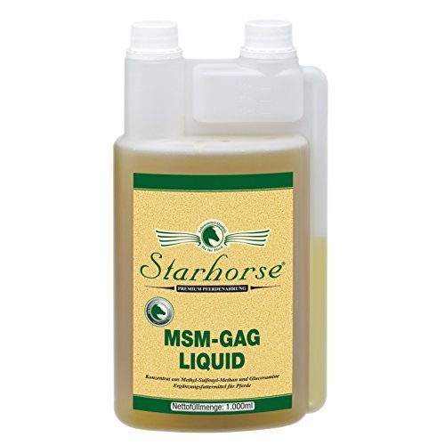 Starhorse MSM - GAG Liquid 1 L Dosierflasche für Pferde Glucosamin Bewegungsapparat von Starhorse