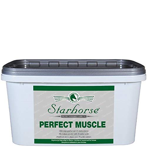 Starhorse Perfect Muscle 3000 Gramm Starhorse Perfect Muscle 3000 Gramm von Starhorse