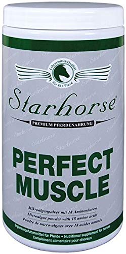 Starhorse Perfect Muscle für Pferde 950g Dose Muskelaufbau von Starhorse