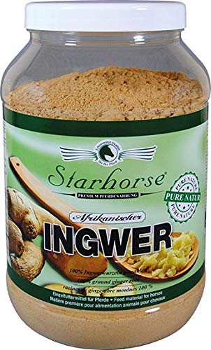 Starhorse afrikanischer Ingwer für Pferde 900g Dose von Starhorse