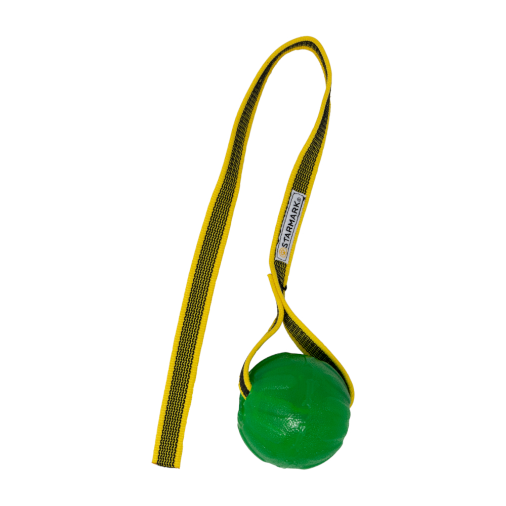 Starmark GripCord Chew Ball Cord - Größe M/L: Ø 8 x L 34,5 cm von Starmark