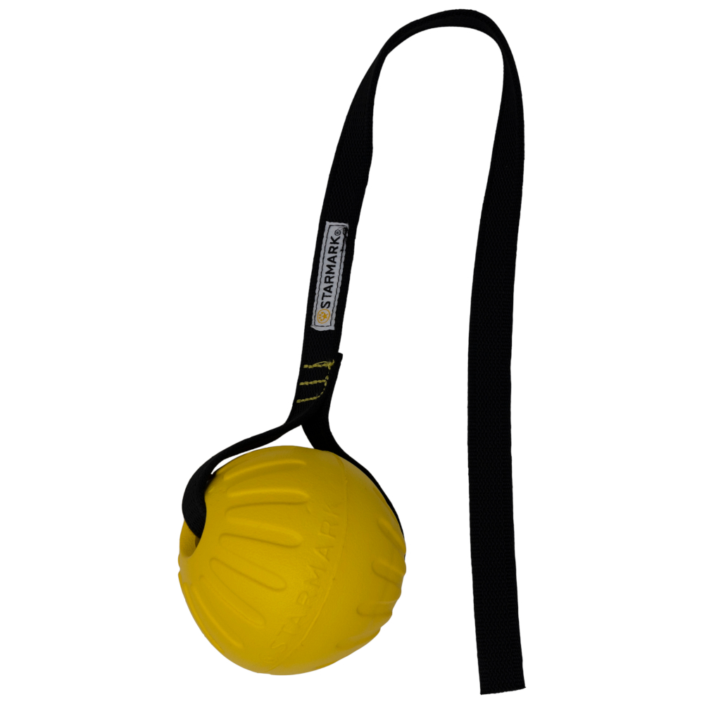 Starmark GripCord Durafoam Ball Cord - Größe M: Ø 6,5 cm Starmark GripCord Durafoam Ball Cord - Größe M: Ø 6,5 cm von Starmark