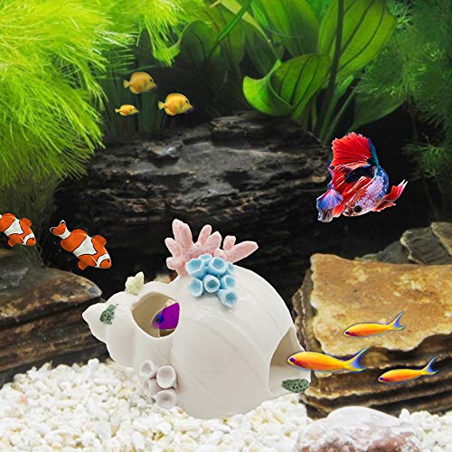 Starryfill AquariumDekorationen, weiße KeramikMuschel, thematische Ornament mit drei Löchern für BettaFische, die sicher passieren oder verstecken, BettaAquarium für kleine und mittelgroße Fische von Starryfill