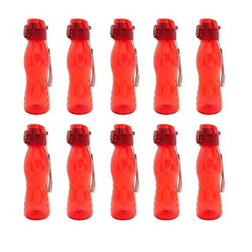 10 Stück Steuber klick Top Freizeit Trinkflaschen, 700ml rot von Steuber