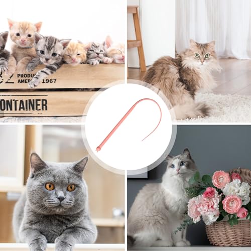 Katzenangel Spielzeug, Knabberfestes Silikon Katzenspielzeug, Weicher Lockstoffschwanz Fördern Die Geistige Anregung Für Zuhause Suchen Springen Jagen Und Entdecken Katzenangel Spielzeug, Knabberfestes Silikon Katzenspielzeug, Weicher Lockstoffschwanz Fördern Die Geistige Anregung Für Zuhause Suchen Springen Jagen Und Entdecken von Stibtmr
