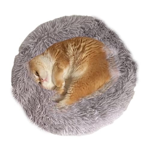 Stibtmr Beruhigendes Hundebett für kleine Hunde, rundes Hundebett,Rundes Plüsch-Donut-Kuschelbett | Beruhigende Schlummerschlafhütte für Katzen, Haustierbettmatte für kleine Hunde Stibtmr Beruhigendes Hundebett für kleine Hunde, rundes Hundebett,Rundes Plüsch-Donut-Kuschelbett | Beruhigende Schlummerschlafhütte für Katzen, Haustierbettmatte für kleine Hunde von Stibtmr