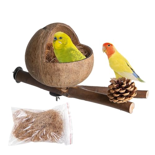 Stibtmr Kokosnuss Haus Für Vogel Kokos Vogelhaus Kokosnuss Vogelhaus En Natürliche Kokosnussschale Dekorative Vogelhaus Refugium Für Kleine Tier Pine Cone von Stibtmr