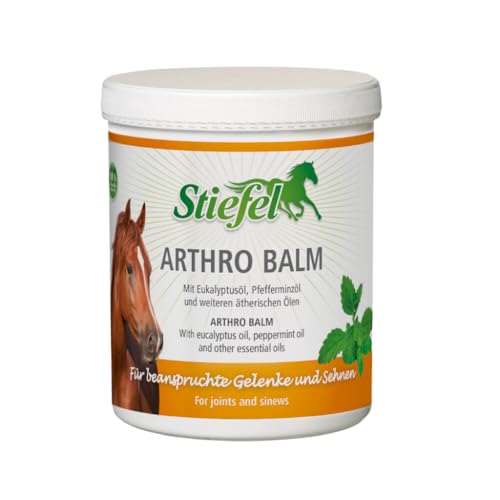 Stiefel Arthro Balm 1kg - Kühlende Pflegesalbe für beanspruchte Gelenke und Muskeln, wohltuendes Gel mit Rosmarin, Eukalyptusöl und Pfefferminzöl, Pflegebalsam zur Regeneration und Entspannung von Stiefel