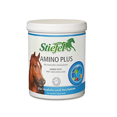 Stiefel Amino Plus für Pferde, hochwertige Unterstützung für den Muskelaufbau & die Leistungsfähigkeit bei Sportpferden, für ges&es Wachstum bei Fohlen & Jungpferden, gesunde Knochen, 1kg von Stiefel