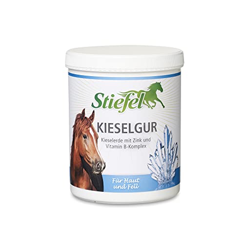 Stiefel Kieselgur für Pferde, hochwertige Kombination aus Kieselerde, essentiellem Vitamin B Komplex, schwefelhaltiger Aminosäure & Zink, bei Hautproblemen & Juckreiz, fördert den Fellwechsel, 1kg von Stiefel