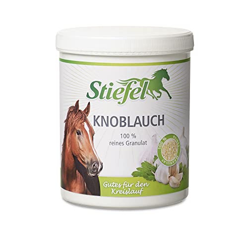 Stiefel Knoblauch für Pferde, 100% reines Granulat zur Stärkung des Kreislaufs, Regulation von Blutzucker & Blutfetten, Darmflora & Bronchialsystem, natürlicher Fliegen- & Insektenschutz, 1kg von Stiefel