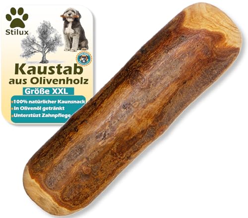 Stilux® Kauhloz aus Olivenholz für Hunde ab 40Kg, Größe XXL, Kauknochen Hundespielzeug, langlebiges Holzknochen Kauspielzeug zur Hund Zahnpflege von Stilux