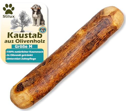 Stilux® Kauhloz aus Olivenholz für Hunde bis 20Kg, Größe M, Kauknochen Hundespielzeug, langlebiges Holzknochen Kauspielzeug zur Hund Zahnpflege von Stilux
