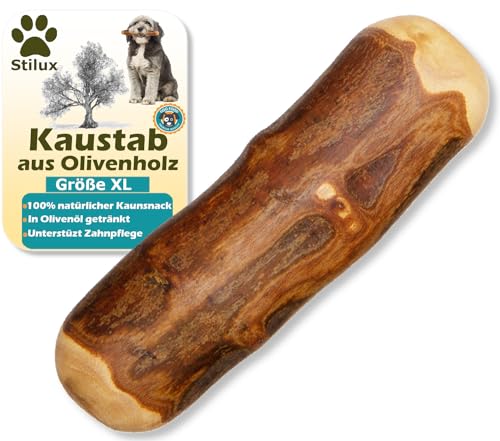 Stilux® Kauhloz aus Olivenholz für Hunde bis 40Kg, Größe XL, Kauknochen Hundespielzeug, langlebiges Holzknochen Kauspielzeug zur Hund Zahnpflege von Stilux