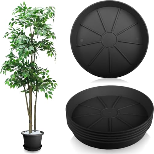 Stimo 6X Untersetzer für Blumentöpfe Kunststoff Ø 30 cm Grau Blumentopfuntersetzer (Anthrazit) von Stimo
