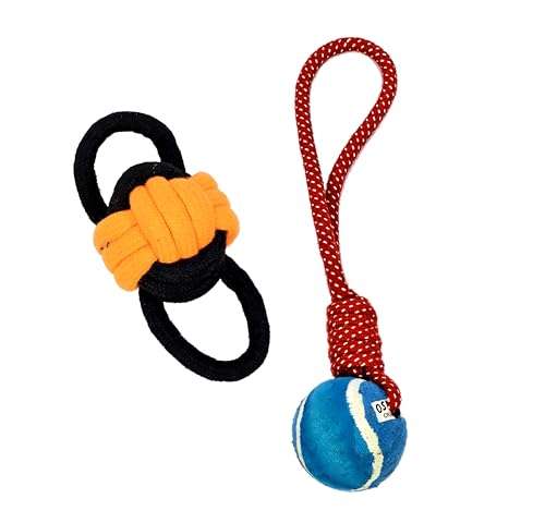 StonKraft Hundespielzeug-Kauprodukte-Set – Welpen Zahnen Seil Spielzeug Pack, Spiele für Haustiere | Geeignet für alle Hunde, ungiftig, waschbar & sicher für Haustiere | Bunt, federnd & lustig StonKraft Hundespielzeug-Kauprodukte-Set – Welpen Zahnen Seil Spielzeug Pack, Spiele für Haustiere | Geeignet für alle Hunde, ungiftig, waschbar & sicher für Haustiere | Bunt, federnd & lustig von StonKraft