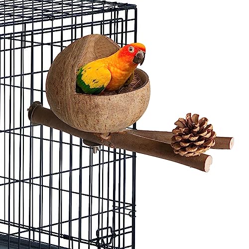 Storaffy Vogel-Kokosnuss-Haus,Natürliches Vogelversteck für Sittiche | Kokosnussschalennest mit Kokosraspeln, bequemer Sittich-Nistkasten für Papageien, Kanarienvögel, Wellensittiche, Nymphensittiche Storaffy Vogel-Kokosnuss-Haus,Natürliches Vogelversteck für Sittiche | Kokosnussschalennest mit Kokosraspeln, bequemer Sittich-Nistkasten für Papageien, Kanarienvögel, Wellensittiche, Nymphensittiche von Storaffy