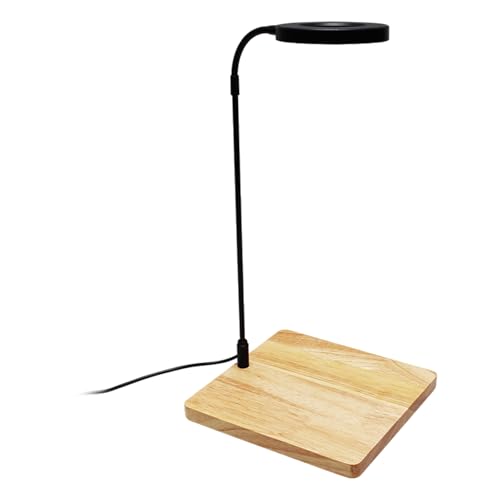 Storage Bag USB Betriebene LED Beleuchtungslampe Für Kleine Aquarien Sukkulenten Topfpflanze Landschaftsbaulampe Für Fisch Und Pflanzenwachstum Fischtank Licht von Storage Bag