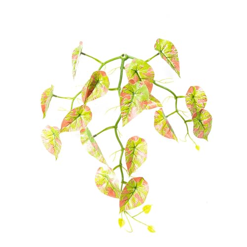 Storage Bag Wie Fischblattbett Fisch Laichbett Aquarien Dekorationen Simulation Blatt Hängematte Ruhen Für Terrarien Fischtankzubehör Storage Bag Wie Fischblattbett Fisch Laichbett Aquarien Dekorationen Simulation Blatt Hängematte Ruhen Für Terrarien Fischtankzubehör von Storage Bag