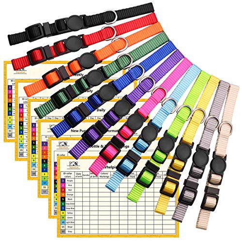 Puppy Collars for Litter Puppy ID Collars Whelping Supplies Soft Nylon Breakaway Coloured Collars with 6 Record Keeping Charts(M) von Stpiatue