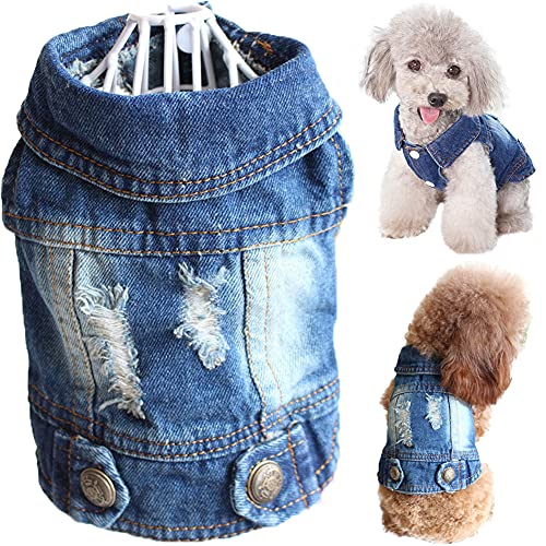 Strangefly Hunde-Jean-Jacke, blaue Welpen, Denim-Kleidung, Reverswesten, Vintage-Kleidung, coole, klassische Cowboy-Hunde-Shirts, Outfits für kleine, Hunde und Katzen (XL, blau) von Strangefly