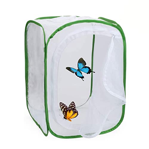Streysisl Habitat De La Maison des Papillons – Habitat Käfig Catcher Pflanze Net | ES Käfig aus Netz, leicht, sicher und atmungsaktiv für Raupen und Schmetterlinge Streysisl Habitat De La Maison des Papillons – Habitat Käfig Catcher Pflanze Net | ES Käfig aus Netz, leicht, sicher und atmungsaktiv für Raupen und Schmetterlinge von Streysisl