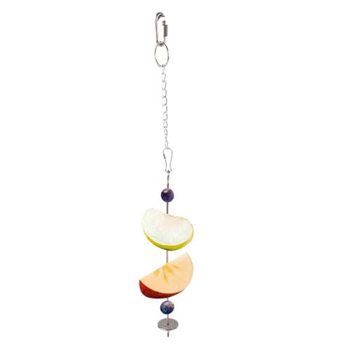 Streysisl Vogelkäfig-Futterstation, Vogelfutterstation für Sittiche, Obst, , -Futterstation, Futterspieß, Futterspender, Spielzeug aus Edelstahl für Sittiche, Nymphensittiche Streysisl Vogelkäfig-Futterstation, Vogelfutterstation für Sittiche, Obst, , -Futterstation, Futterspieß, Futterspender, Spielzeug aus Edelstahl für Sittiche, Nymphensittiche von Streysisl