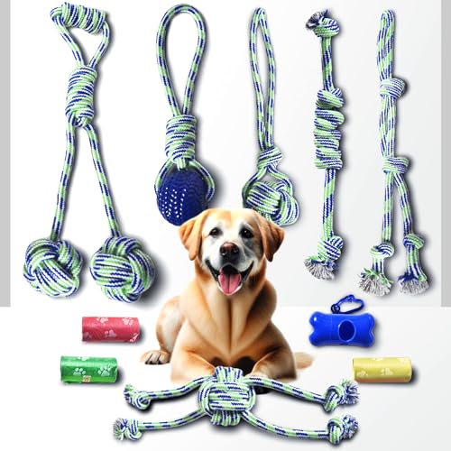 Stride Kauspielzeug für Hunde, 10 Stück, niedliches Hundespielzeug, Seilspielzeug mit weichem Gummi, kleine und mittelgroße Hunde, interaktives Hundespielzeug für Langeweile & Angst, Stride Kauspielzeug für Hunde, 10 Stück, niedliches Hundespielzeug, Seilspielzeug mit weichem Gummi, kleine und mittelgroße Hunde, interaktives Hundespielzeug für Langeweile & Angst, von Stride