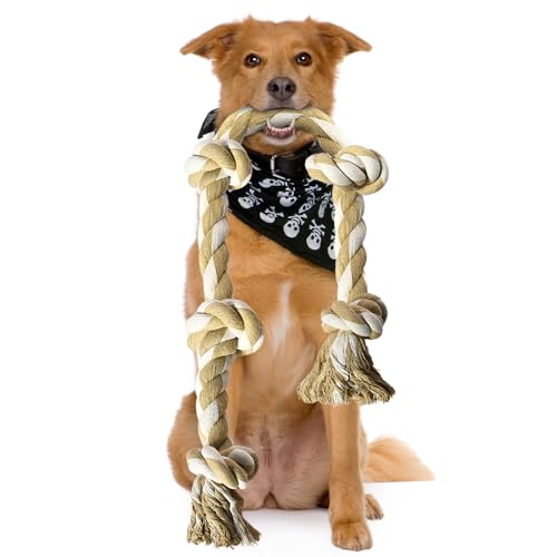 Stride Hundespielzeug für aggressive Kauer, großes Hundespielzeug aus Seil, langlebiges und interaktives Hundespielzeug, 5 Knoten-Design, ideal für mittelgroße und große Hunde, waschbares und von Stride