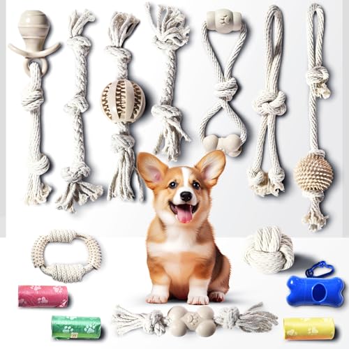 Stride Kauspielzeug für Welpen, 10 Stück, Seilspielzeug Set für kleine und mittelgroße Hunde, ungiftiges Baumwoll-Kauspielzeug, interaktives Seilspielzeug für Welpen, farbstofffreies & sicheres von Stride