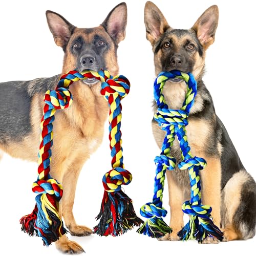 Stride Unzerstörbares Hundespielzeug – Set mit 2 großen Hundespielzeugen für aggressive Kauer, ideal für Zahnreinigung, Tauziehen und lindert Langeweile und Angstzustände Stride Unzerstörbares Hundespielzeug – Set mit 2 großen Hundespielzeugen für aggressive Kauer, ideal für Zahnreinigung, Tauziehen und lindert Langeweile und Angstzustände von Stride