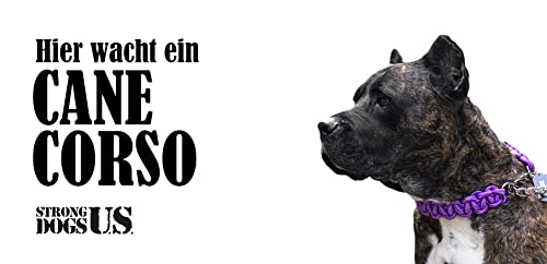 Strong Dogs US. /Hundeschild Warnschild Achtung Hier wache ich/Hinweisschild Gartentor Gartenzaun - Türschild Haustüre Warnschild/Abschreckung Einbruchschutz (Cane Corso) von Strong Dogs US.