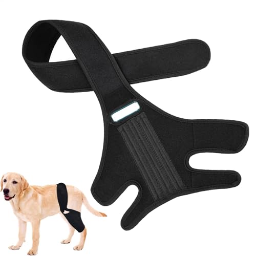 Hundebeinbandage, verstellbare Hundebandagen Beinarmmanschette, weiche und atmungsaktive Hundebandagen für Wunden, Hundebandagen, Beinbandagen für Hunde für Hinterbein für Kreuzbein Hundebeinbandage, verstellbare Hundebandagen Beinarmmanschette, weiche und atmungsaktive Hundebandagen für Wunden, Hundebandagen, Beinbandagen für Hunde für Hinterbein für Kreuzbein von Stronrive