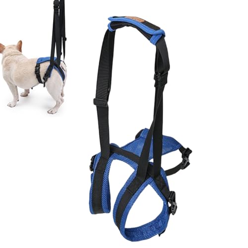 Hundegeschirr zum Anheben von Beinen und Rücken, verstellbar, für ältere Menschen mit Behinderungen, zum Stehen, Gehen oder Gehen zur Toilette Hundegeschirr zum Anheben von Beinen und Rücken, verstellbar, für ältere Menschen mit Behinderungen, zum Stehen, Gehen oder Gehen zur Toilette von Stronrive