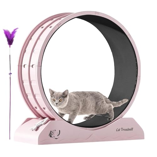 Katzenlaufrad - Leises Trainingsgerät Für Kitten,Leises Kätzchenlaufrad Mit Entfernbarer Laufmatte Zur Einfachen Reinigung, Geeignet Für Die Katzenlaufrad - Leises Trainingsgerät Für Kitten,Leises Kätzchenlaufrad Mit Entfernbarer Laufmatte Zur Einfachen Reinigung, Geeignet Für Die von Stronrive