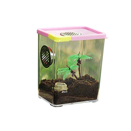 Reptilienzuchtbox Acryl Reptilienbox Transparent Reptil Fütterungsbox Reptilien Box Terrarium für Spide, Eidechse, Skorpion, Tausendfüßler, Gehörnter Frosch, Käfer von Stronrive