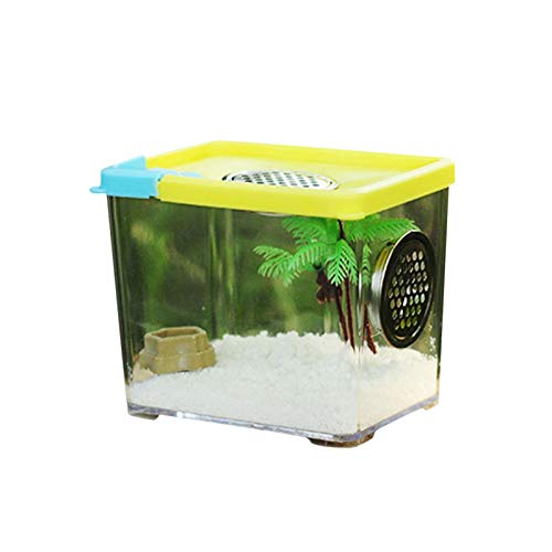 Reptilienzuchtbox Acryl Reptilienbox Transparent Reptil Fütterungsbox Reptilien Box Terrarium für Spide, Eidechse, Skorpion, Tausendfüßler, Gehörnter Frosch, Käfer von Stronrive