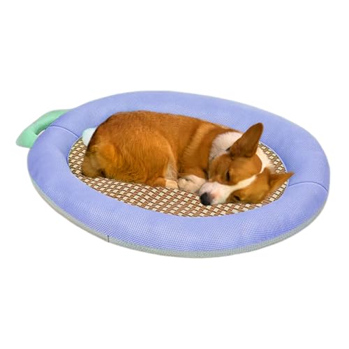 Stronrive Kühlmatte Für Hunde Zur Abkühlung,Kühlkissen Für Transportbox Und - Kausicheres Kühlbett Für Welpen Katzen In Zuhause Reisen Transportbox Bei Wärme Stronrive Kühlmatte Für Hunde Zur Abkühlung,Kühlkissen Für Transportbox Und - Kausicheres Kühlbett Für Welpen Katzen In Zuhause Reisen Transportbox Bei Wärme von Stronrive
