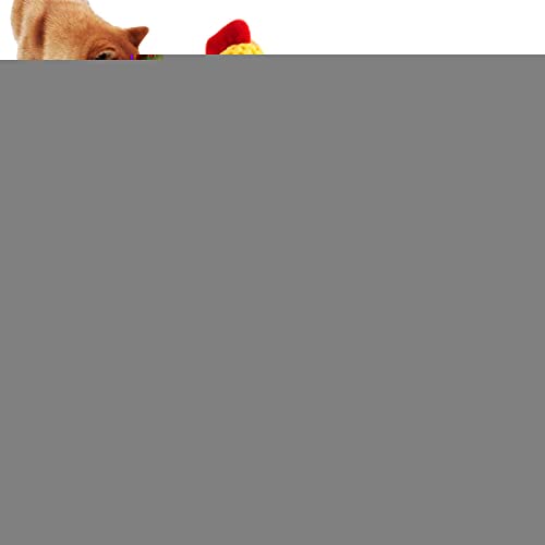 Stronrive Quietscher Hundespielzeug | Hund quietschende Spielzeuge niedliche Plüschtiere,Haustier-Plüsch-Kauen-Backen-Spielzeug, Quietschendes Haustier-Kauen-Spielzeug von Stronrive