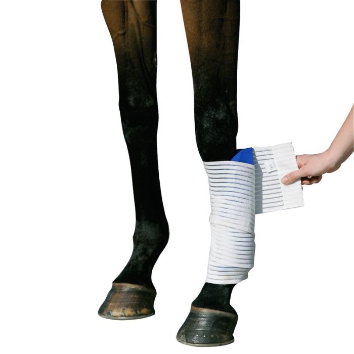 Stübben Kryo Kompakt Horse Elastische Bandage Für Kryo Kompakt Horse Set Stübben Kryo Kompakt Horse Elastische Bandage Für Kryo Kompakt Horse Set von Stübben