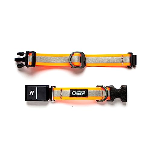 Stunt Puppy Fi Series 3 Ready Dry Halsband, Orange, reflektierend, Größe L Stunt Puppy Fi Series 3 Ready Dry Halsband, Orange, reflektierend, Größe L von Stunt Puppy